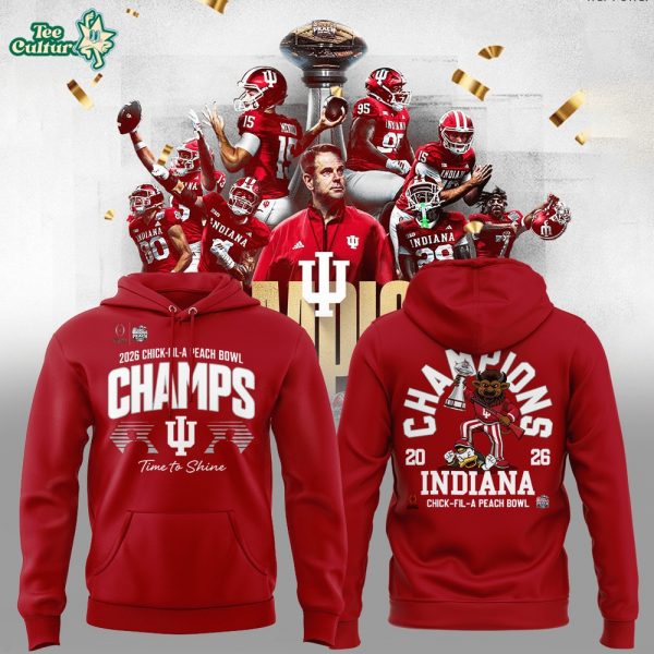 Limited Time Only-3D Unisex Hoodie