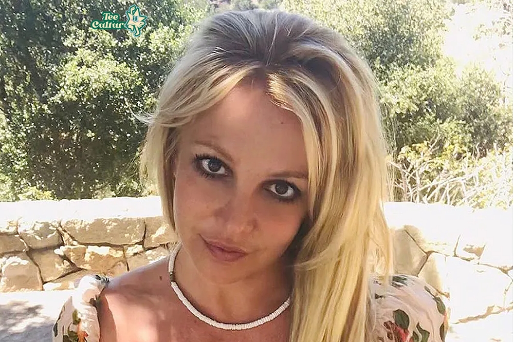 Britney Drunk and Nonsensical When Arrested by Teesculture.com